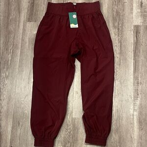 Halara jogger pants